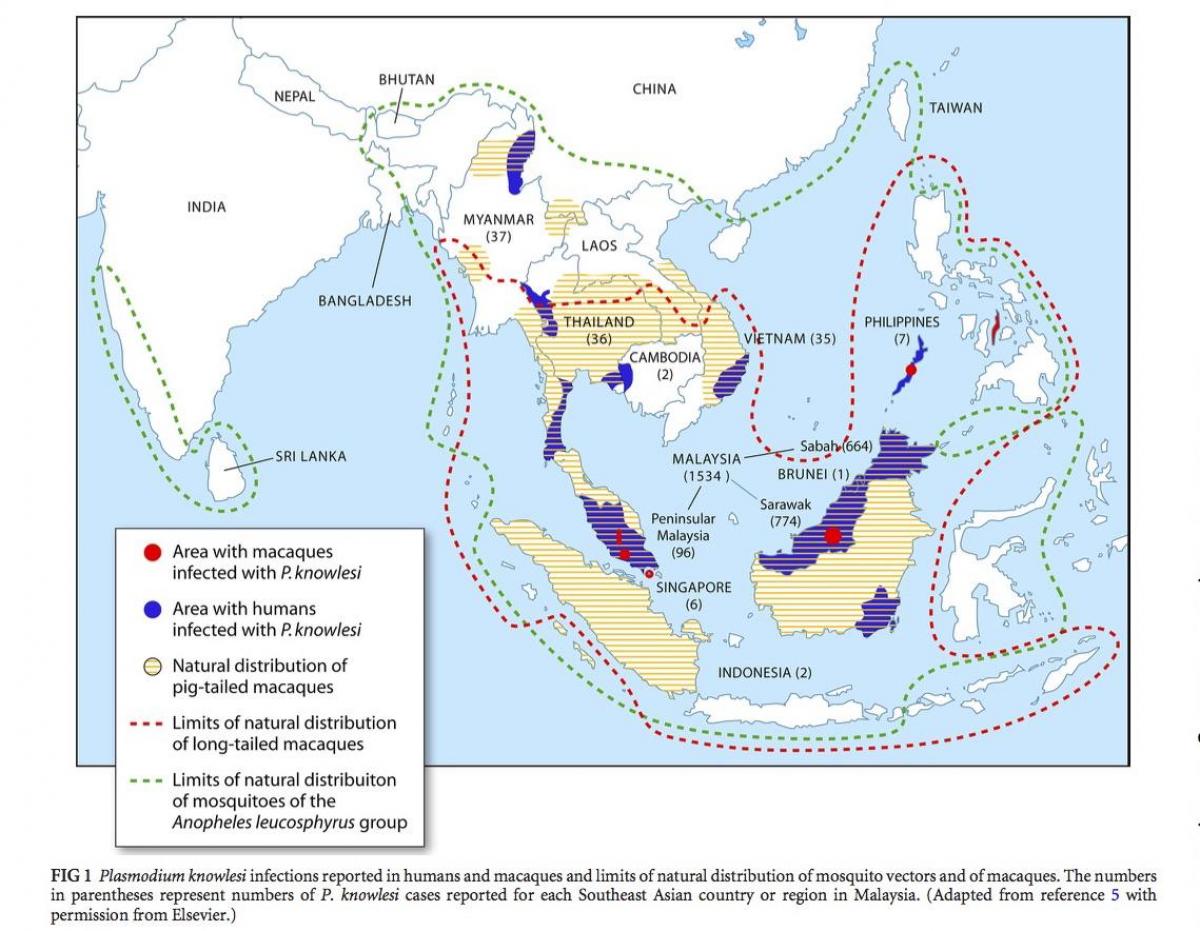 Malaysia malaria map - Map of malaysia malaria (South-Eastern Asia - Asia)