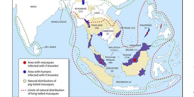 Map of malaysia malaria